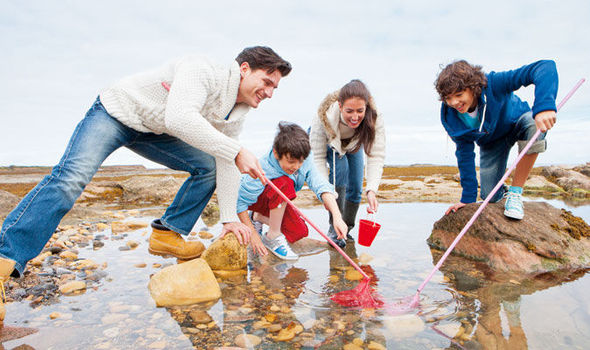 family holidays uk with activities