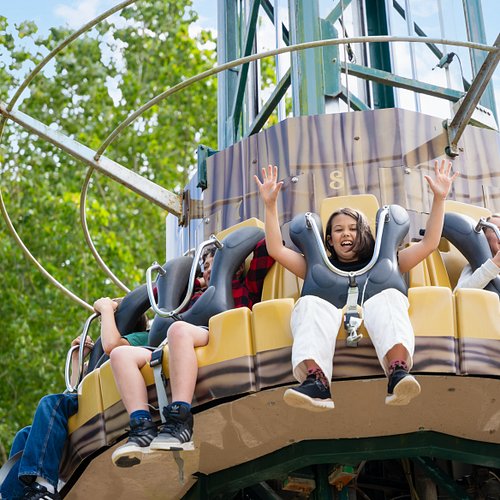 fun family things to do near me